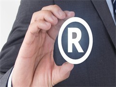 佛山商標專利轉讓與咨詢服務 企業(yè)創(chuàng)新與發(fā)展的關鍵支持
